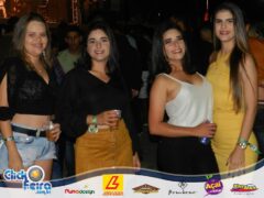 Festa do Bezerro Manhoso